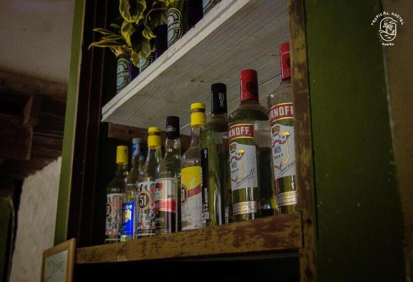 Tropical Hostel