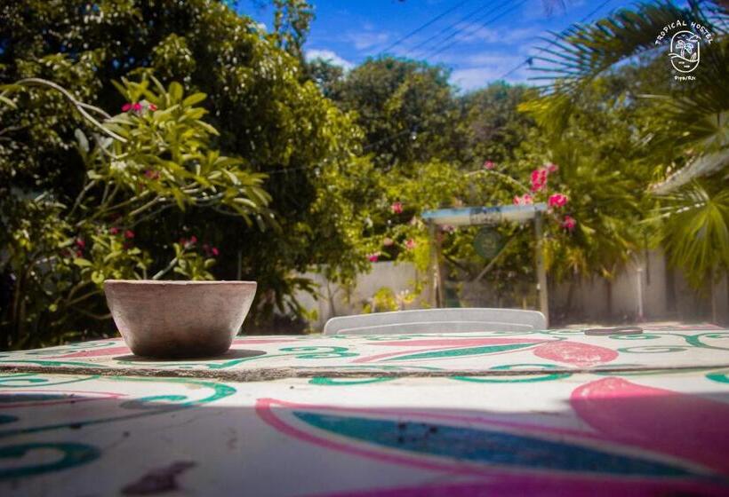 Tropical Hostel