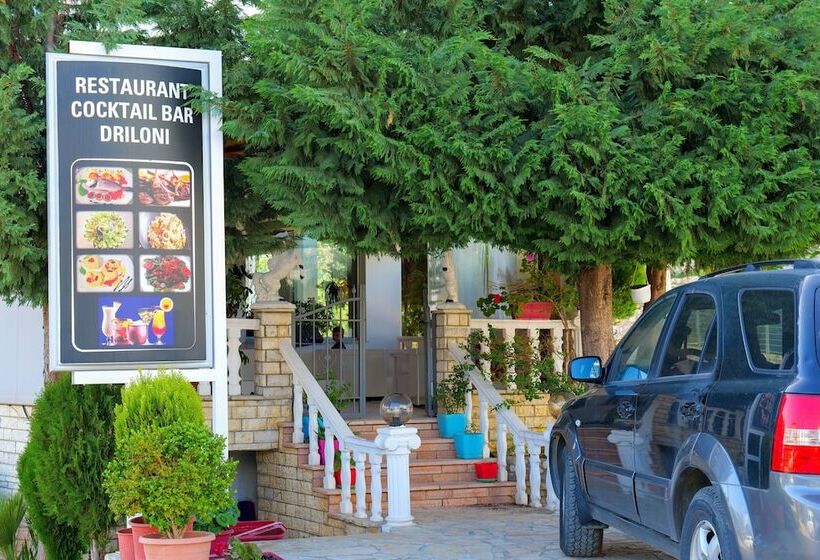 酒店 Driloni