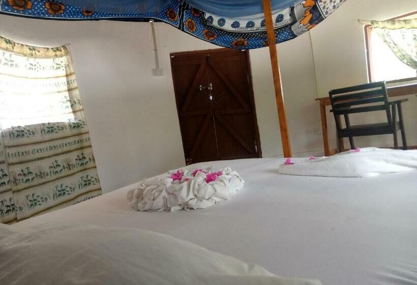 هتل Funky Squids Beach Resort