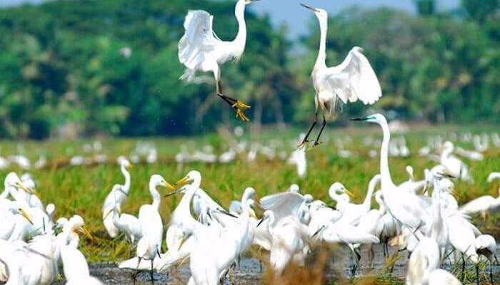 هتل Oceana Hills Residency