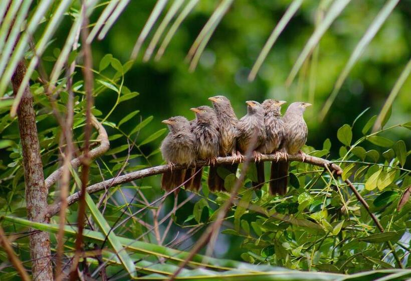 هتل Oceana Hills Residency