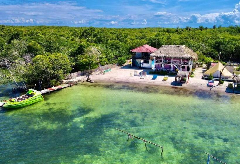 ホテル Tintipan Ashram Hostel & Glamping