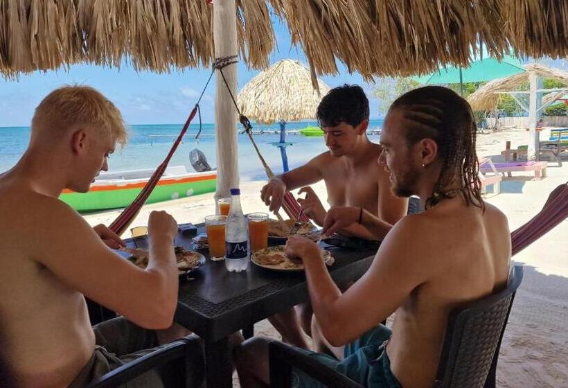 ホテル Tintipan Ashram Hostel & Glamping