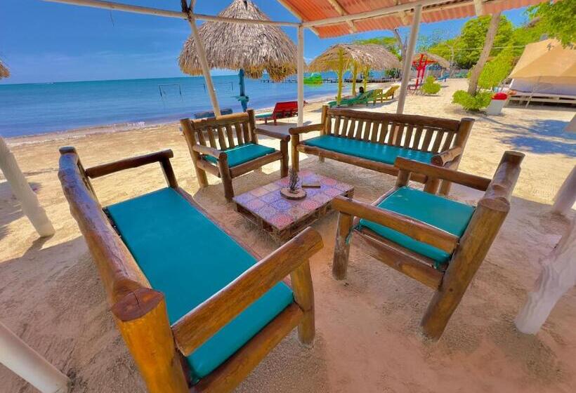 ホテル Tintipan Ashram Hostel & Glamping