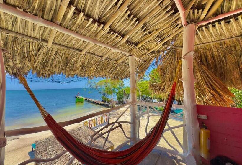 ホテル Tintipan Ashram Hostel & Glamping