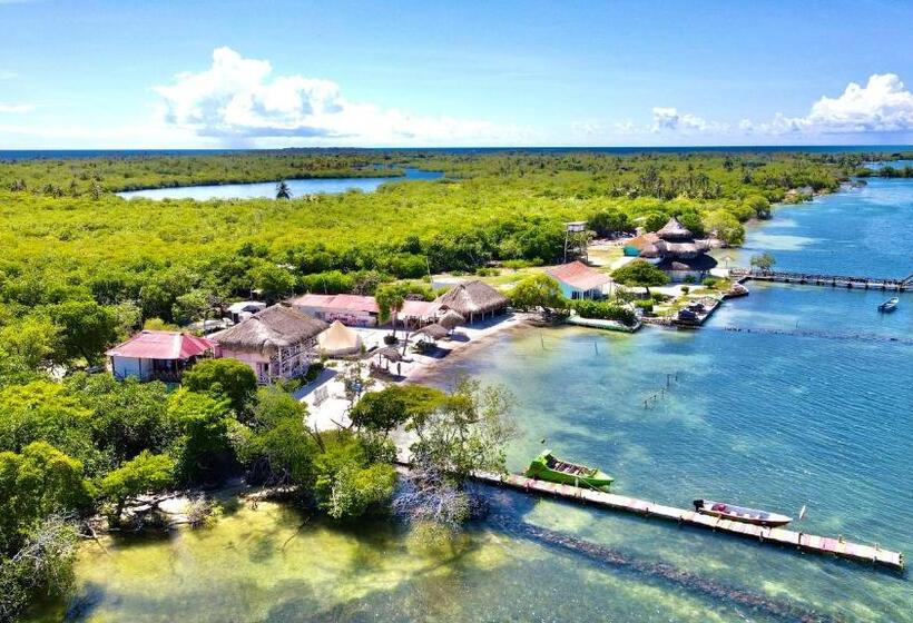 ホテル Tintipan Ashram Hostel & Glamping