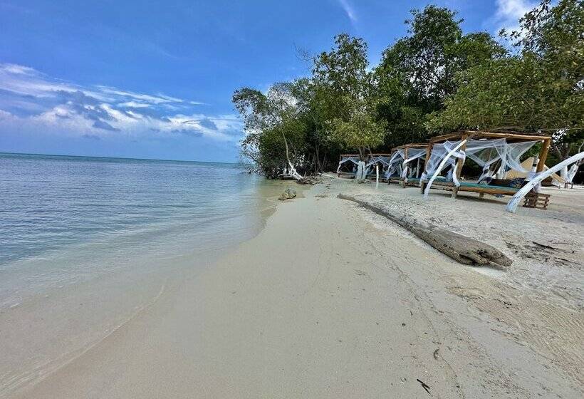 ホテル Tintipan Ashram Hostel & Glamping