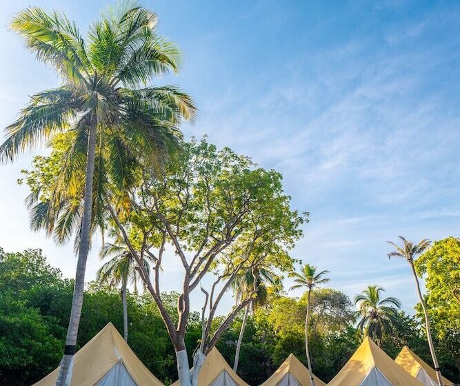 ホテル Tintipan Ashram Hostel & Glamping