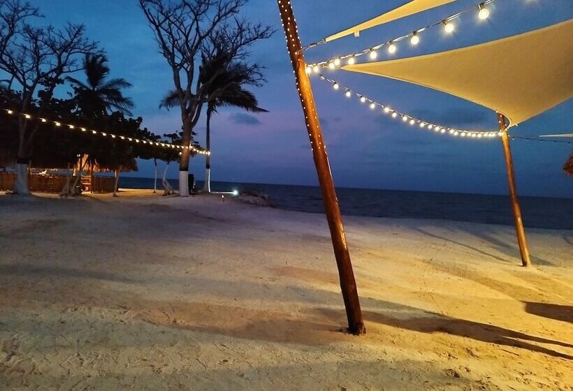 ホテル Tintipan Ashram Hostel & Glamping