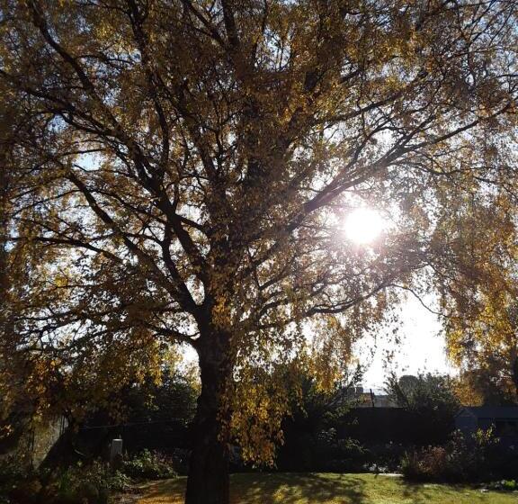 פנסיון Kilmorie House