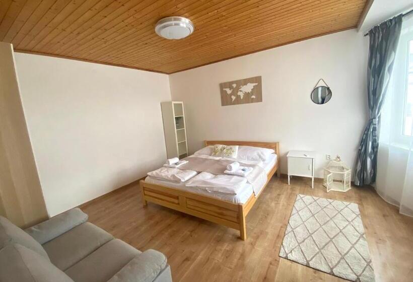 ペンション Penzion Sofinata & Pizzeria špindlerův Mlýn