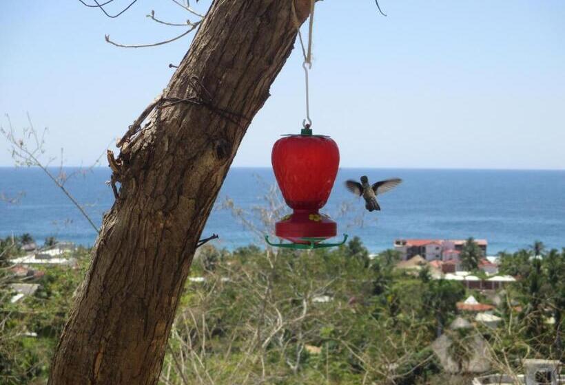 تختخواب و صبحانه Casa Biulú