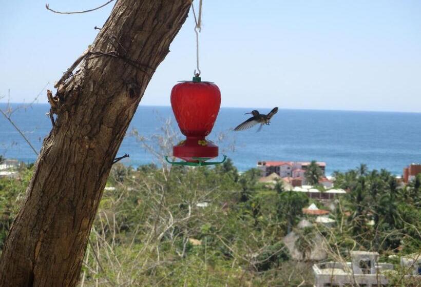 تختخواب و صبحانه Casa Biulú