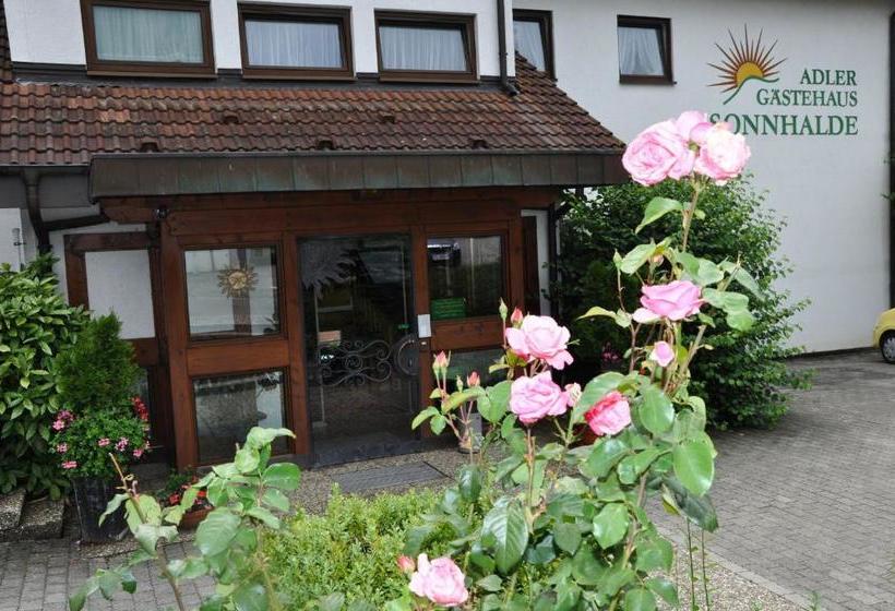 Отель Gasthof Adler Güttingen