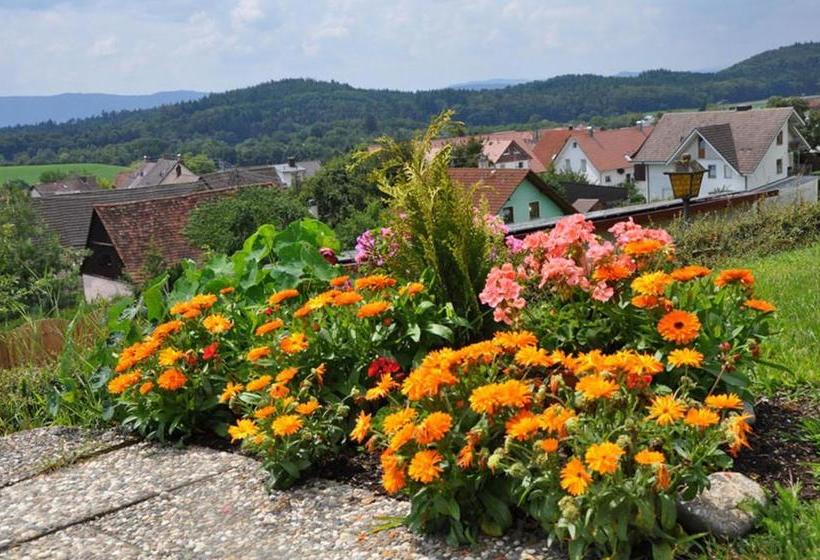 Отель Gasthof Adler Güttingen