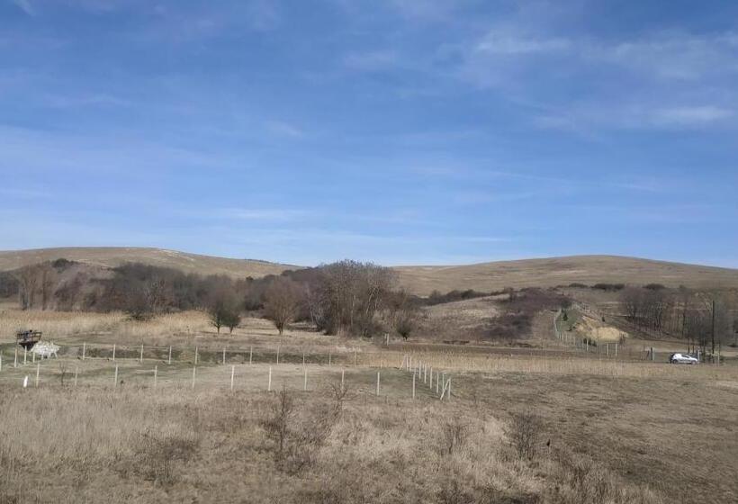 Общежитие Miklós Fogadó és étterem