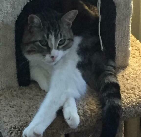 Bernard Gray Hall Bed And Breakfast