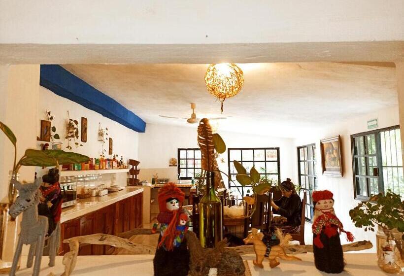 Casa De Los Pájaros B&b