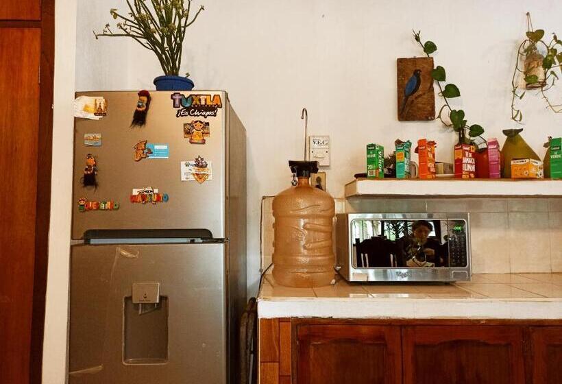 Casa De Los Pájaros B&b