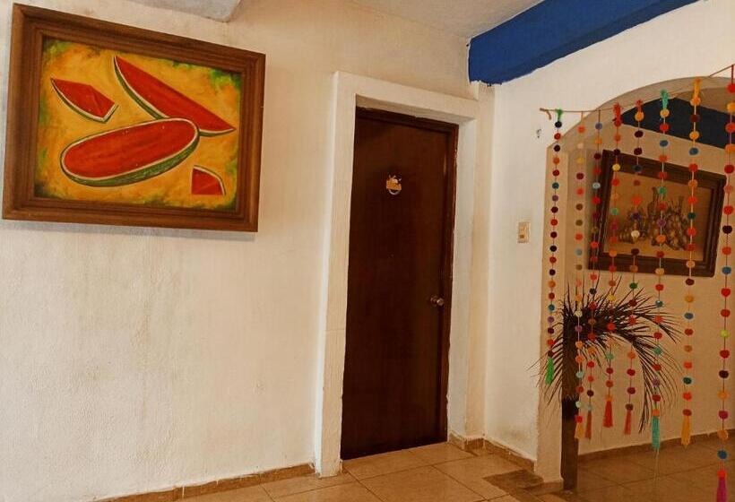 Casa De Los Pájaros B&b