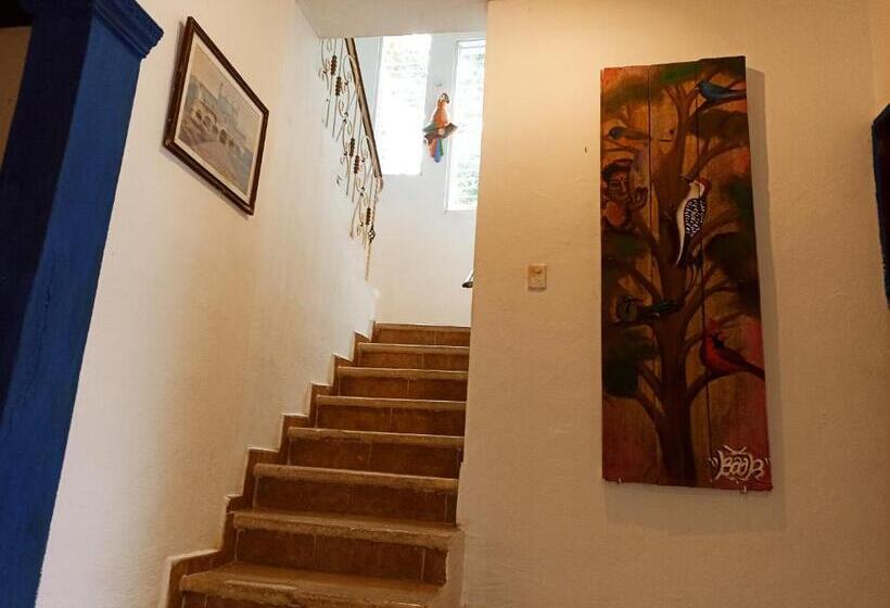 Casa De Los Pájaros B&b