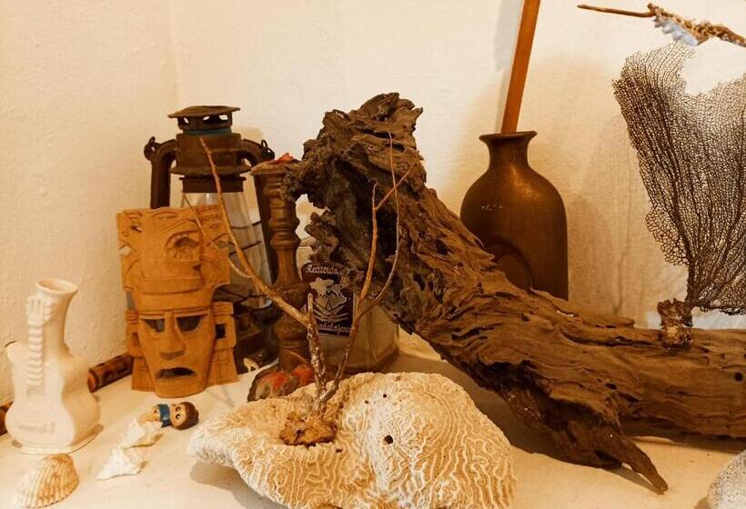 Casa De Los Pájaros B&b