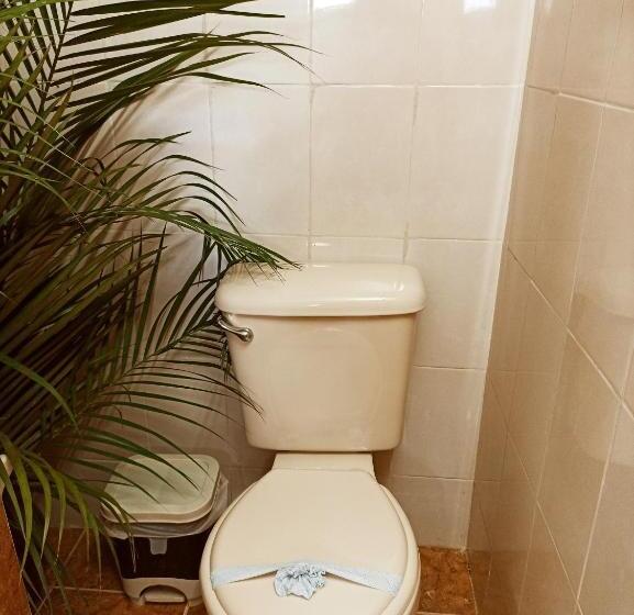 Casa De Los Pájaros B&b