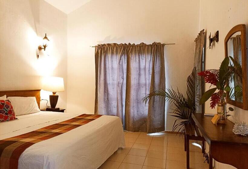 Casa De Los Pájaros B&b