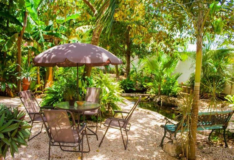 Casa De Los Pájaros B&b