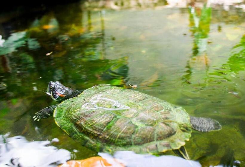 Casa De Los Pájaros B&b