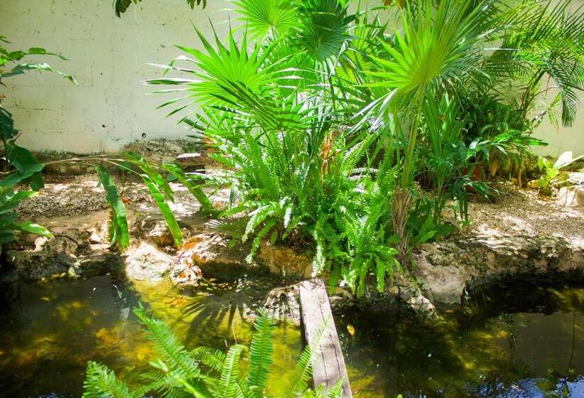 Casa De Los Pájaros B&b