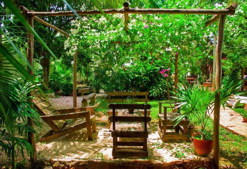 Casa De Los Pájaros B&b