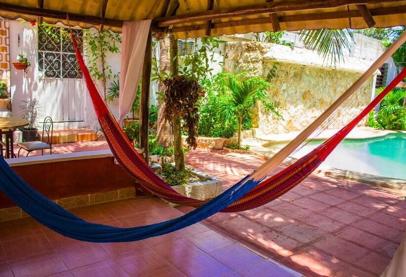 Casa De Los Pájaros B&b