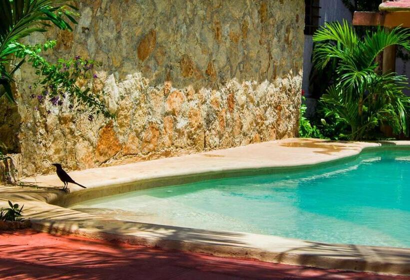 Casa De Los Pájaros B&b