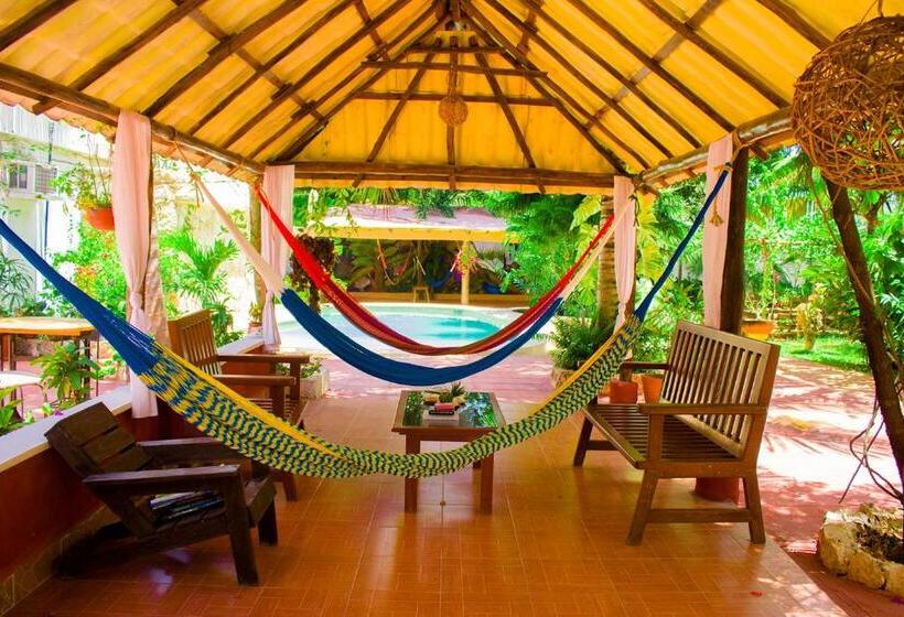 Casa De Los Pájaros B&b