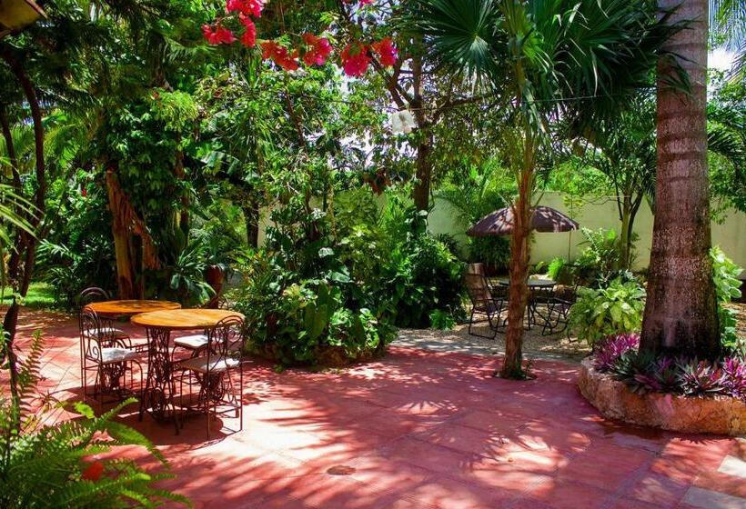 Casa De Los Pájaros B&b