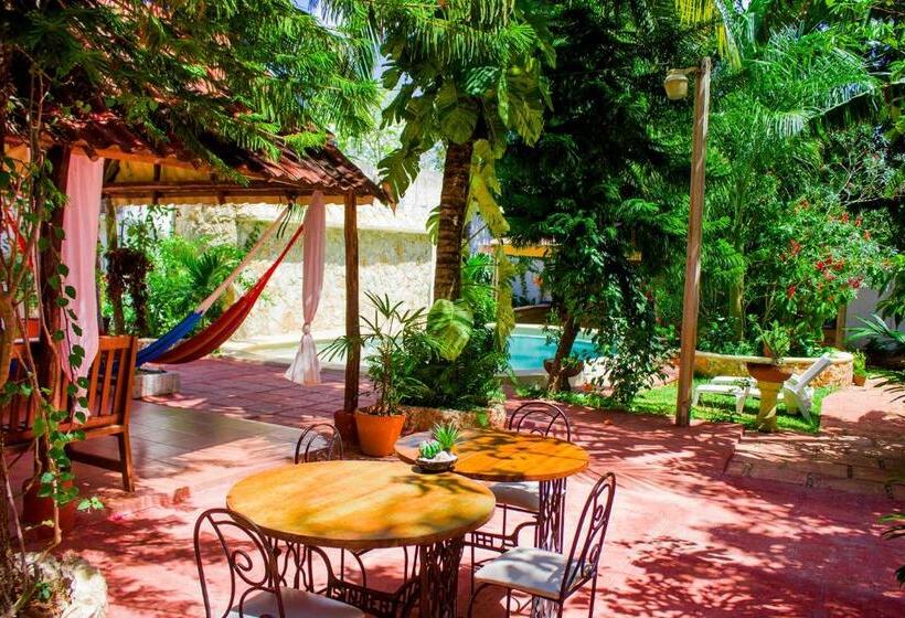 Casa De Los Pájaros B&b