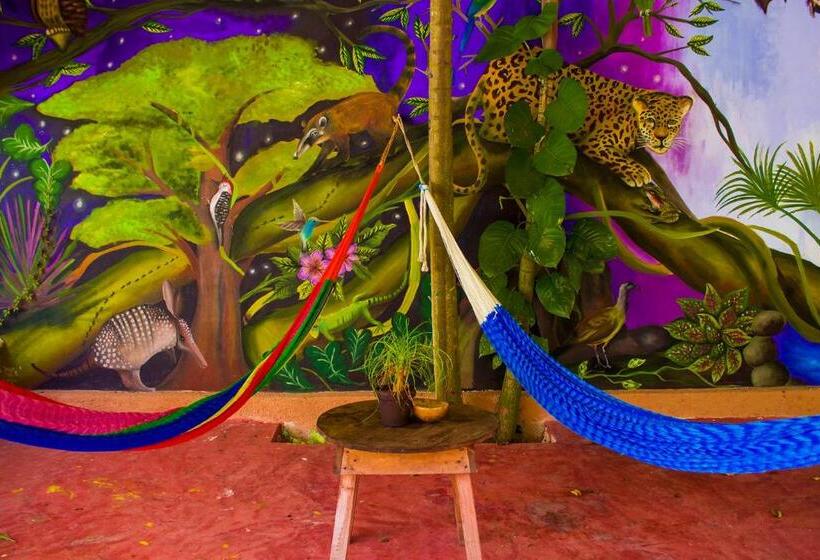 Casa De Los Pájaros B&b