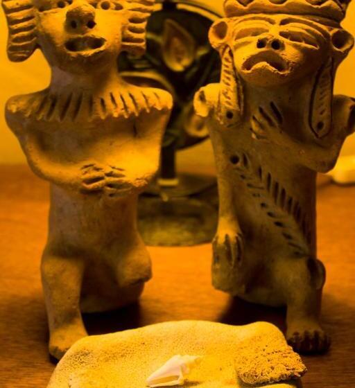 Casa De Los Pájaros B&b