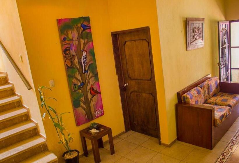 Casa De Los Pájaros B&b