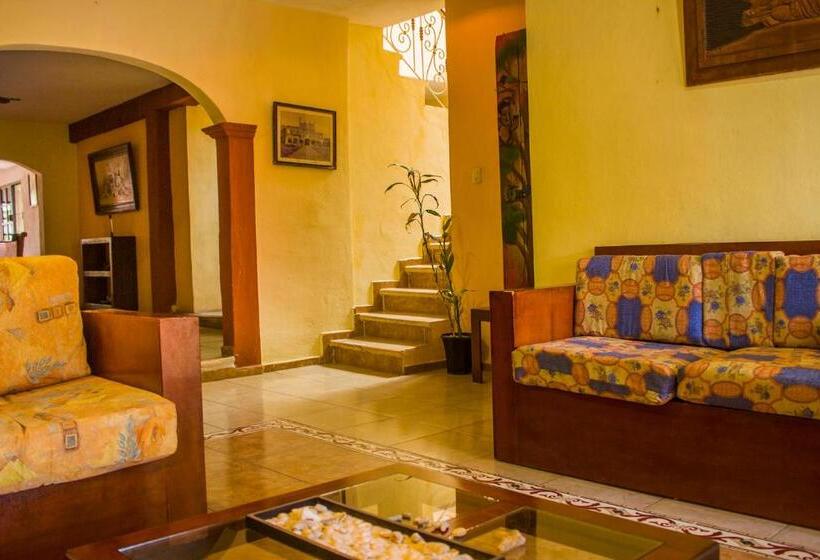 Casa De Los Pájaros B&b