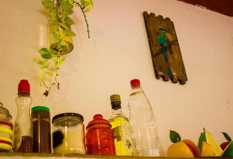 Casa De Los Pájaros B&b