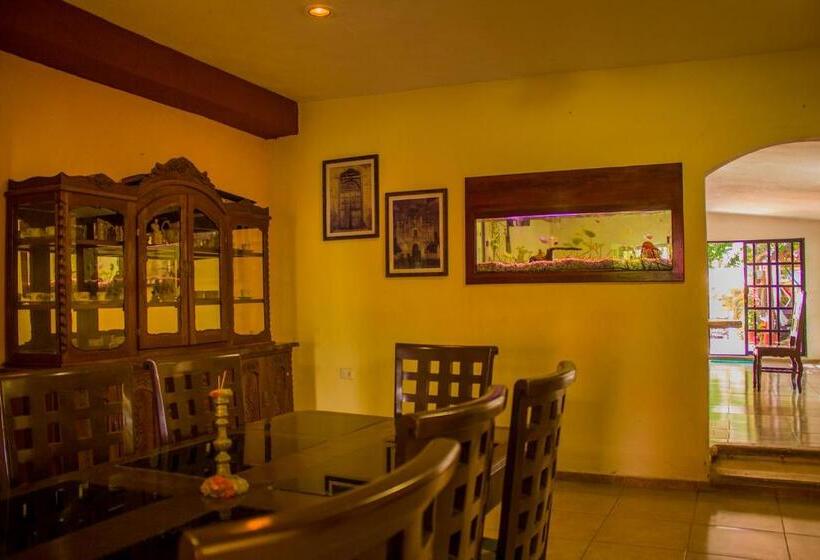 Casa De Los Pájaros B&b