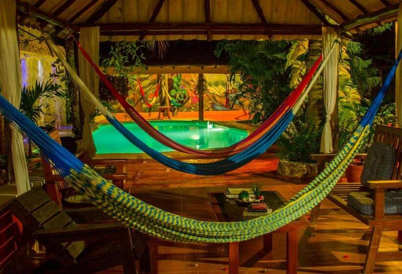 Casa De Los Pájaros B&b