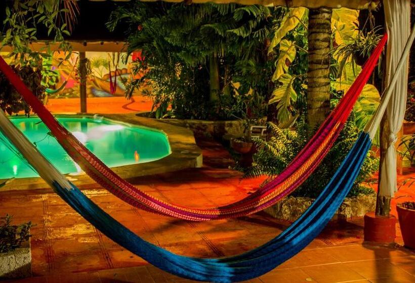 Casa De Los Pájaros B&b