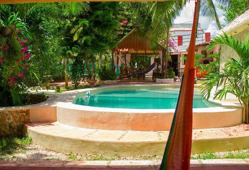 Casa De Los Pájaros B&b