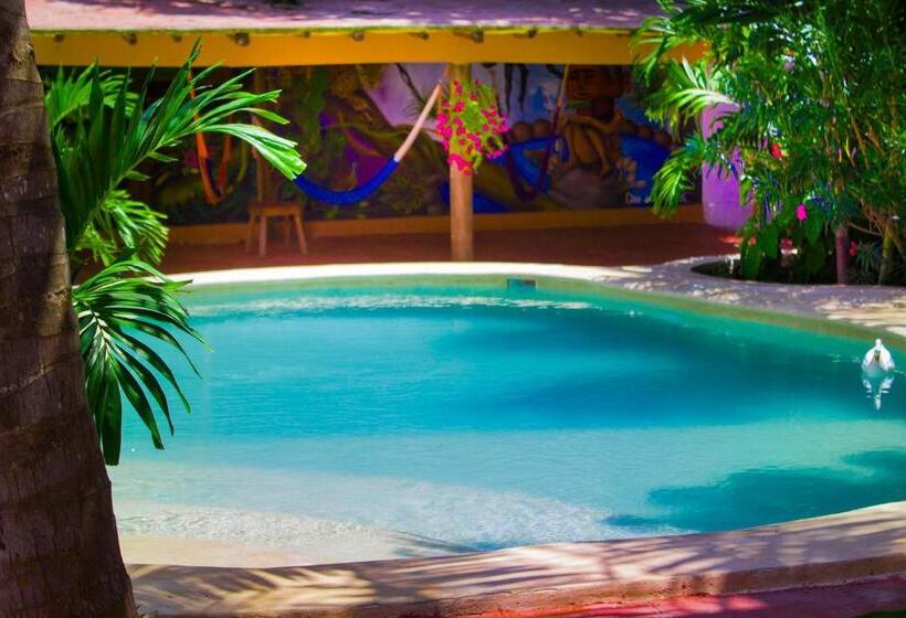 Casa De Los Pájaros B&b