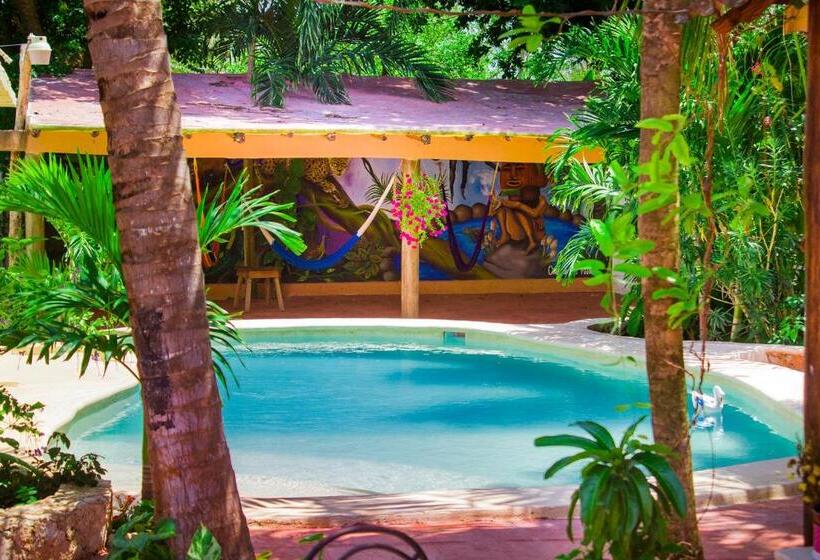 Casa De Los Pájaros B&b