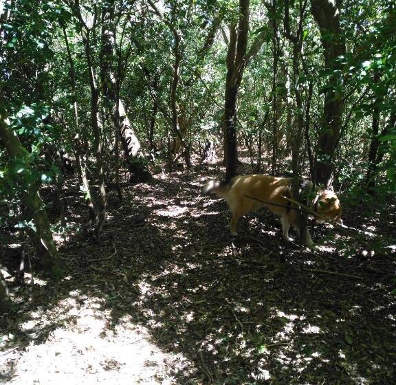 فندق Cabañas Don Camilo Albergue De Montaña